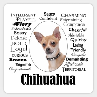 Chihuahua Traits Magnet